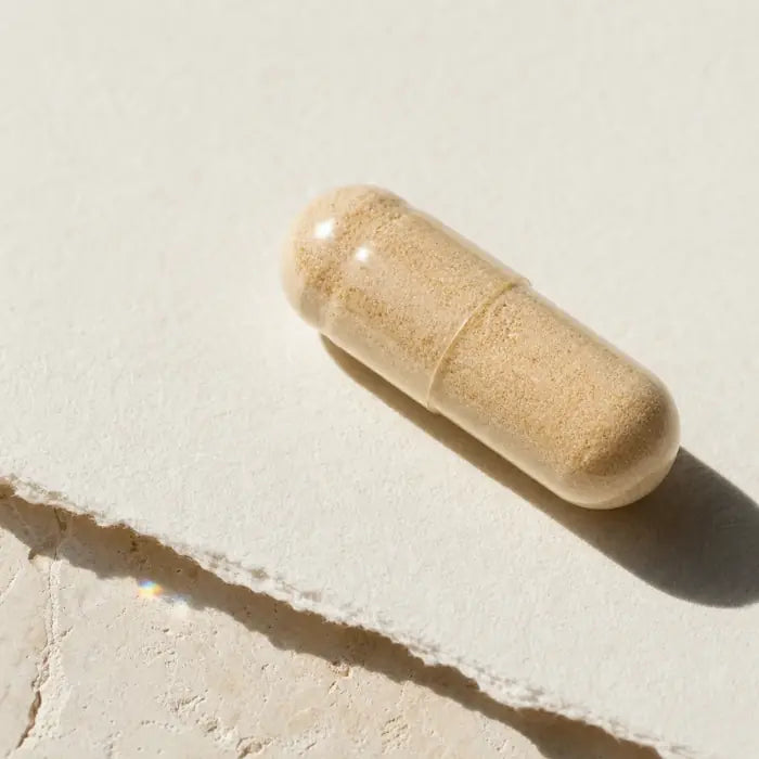 Clinical macro photograph of one small translucent warm-beige size number 2 capsule with its powder fill and capsule seam in sharp focus
